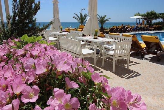 Restaurant Aphrodite Beach