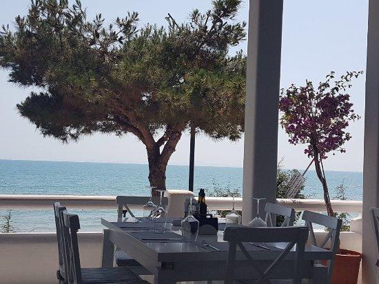 Fish Restaurant Levant Beach